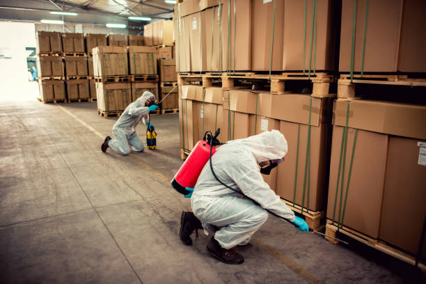 Best Mosquito Control Services  in Homedale, ID