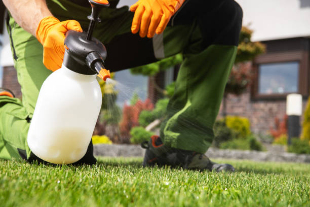 Best Flea Control Services  in Homedale, ID