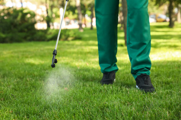 Best Wasp Removal Services  in Homedale, ID