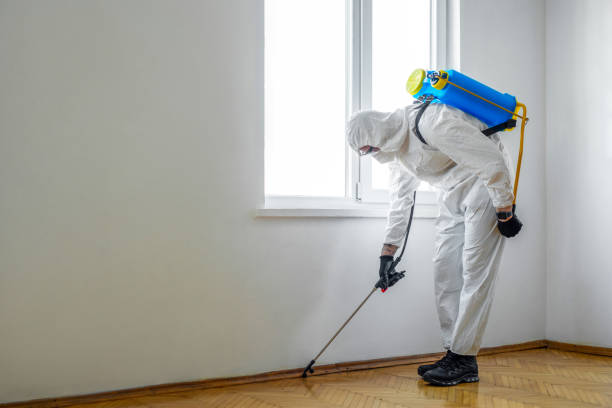 Best Best Pest Control Companies  in Homedale, ID