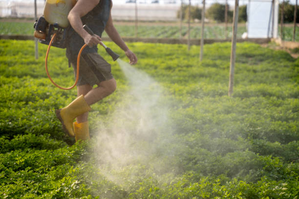 Best Pest Control Treatment  in Homedale, ID
