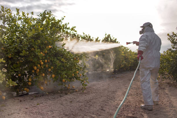 Best Best Pest Control Companies  in Homedale, ID