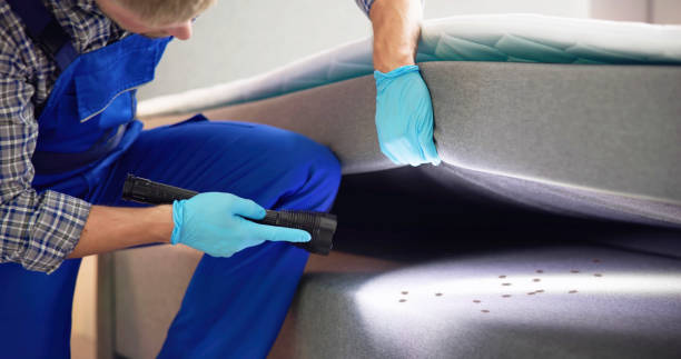 Best Affordable Pest Control Services  in Homedale, ID