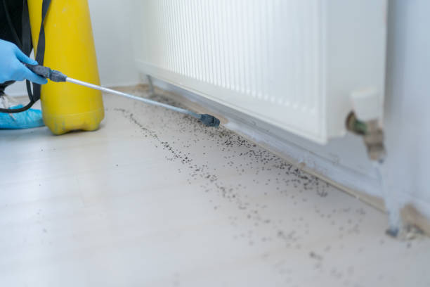 Best Affordable Pest Control Services  in Homedale, ID
